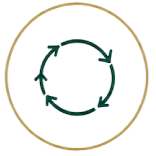 cycle icon